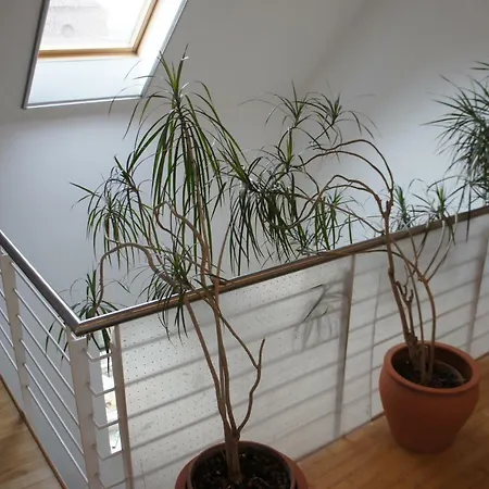 Apartman Haus Am See Krefeld